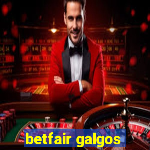 betfair galgos